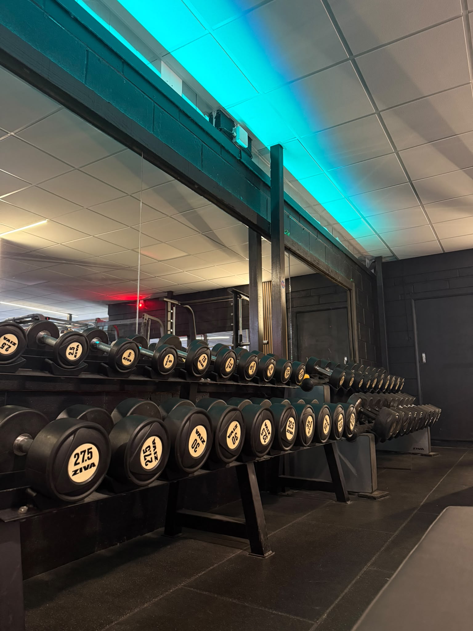 The dumbbell line — 2.5kg right up the rack