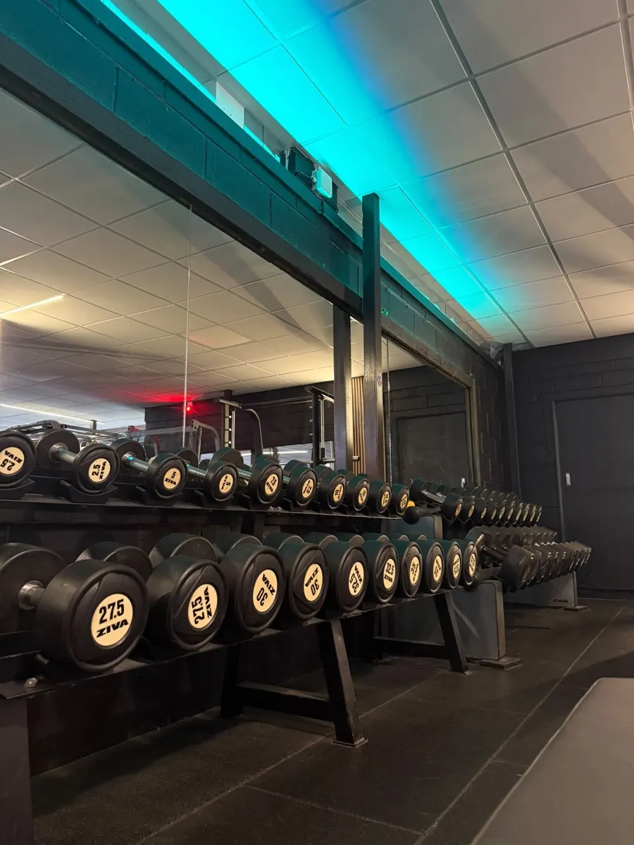 The dumbbell line — 2.5kg right up the rack